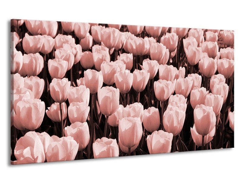 Canvas Schilderij Bloem, Tulpen | Bruin, Rood | 190x100cm 1Luik