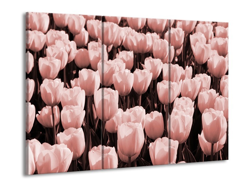 Glasschilderij Bloem, Tulpen | Bruin, Rood | 60x90cm 3Luik