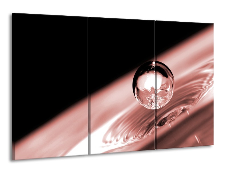 Canvas Schilderij Macro | Bruin, Rood | 165x100cm 3Luik