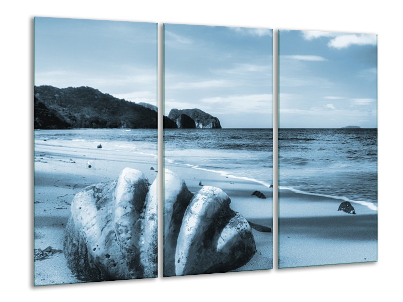 Canvas Schilderij Schelp, Strand | Blauw | 120x80cm 3Luik