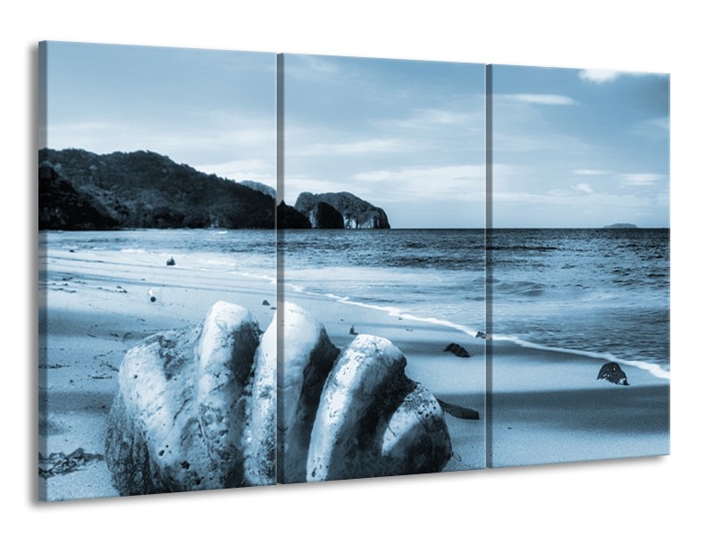 Glasschilderij Schelp, Strand | Blauw | 165x100cm 3Luik