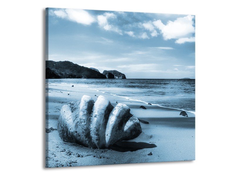 Glasschilderij Schelp, Strand | Blauw | 50x50cm 1Luik