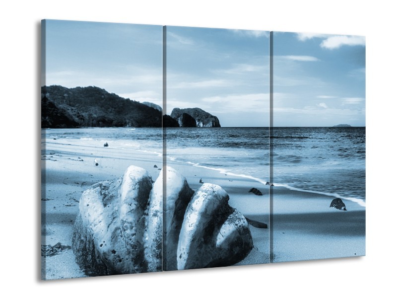 Glasschilderij Schelp, Strand | Blauw | 60x90cm 3Luik