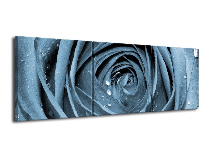 Glasschilderij Bloem, Roos | Blauw | 120x40cm 3Luik