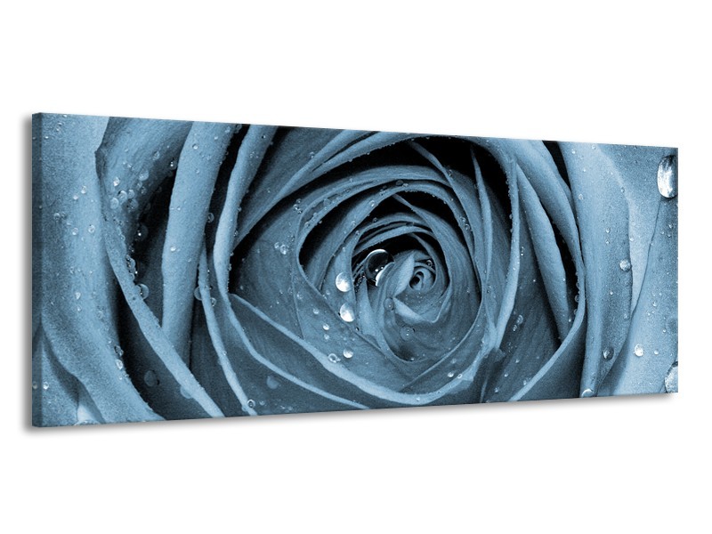 Canvas Schilderij Bloem, Roos | Blauw | 145x58cm 1Luik