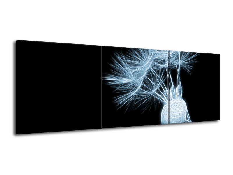 Canvas Schilderij Bloem | Blauw, Zwart | 120x40cm 3Luik