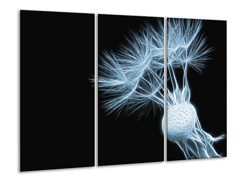 Glasschilderij Bloem | Blauw, Zwart | 120x80cm 3Luik