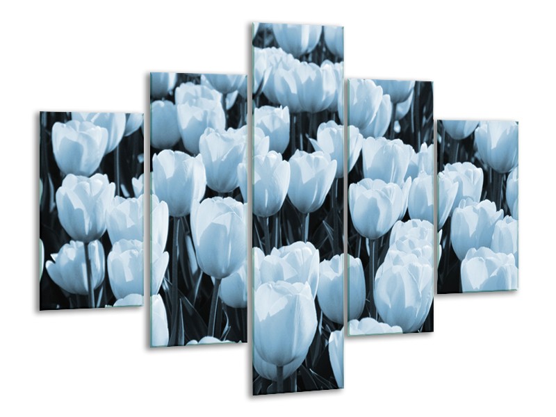 Canvas Schilderij Bloem, Tulpen | Blauw | 100x70cm 5Luik