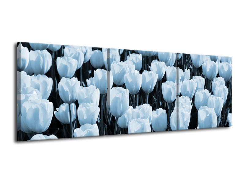 Glasschilderij Bloem, Tulpen | Blauw | 120x40cm 3Luik