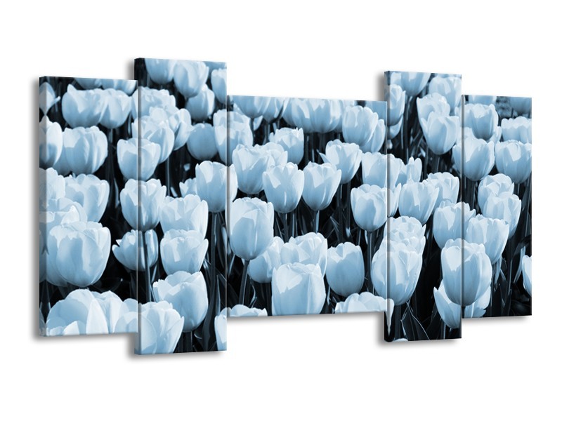 Glasschilderij Bloem, Tulpen | Blauw | 120x65cm 5Luik