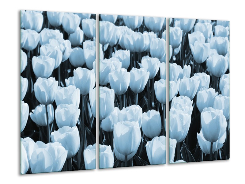 Canvas Schilderij Bloem, Tulpen | Blauw | 120x80cm 3Luik