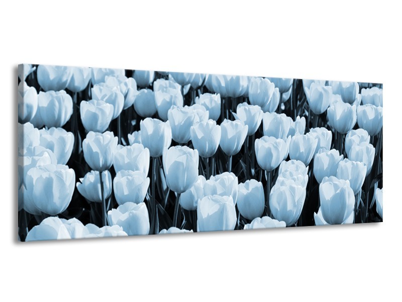 Canvas Schilderij Bloem, Tulpen | Blauw | 145x58cm 1Luik