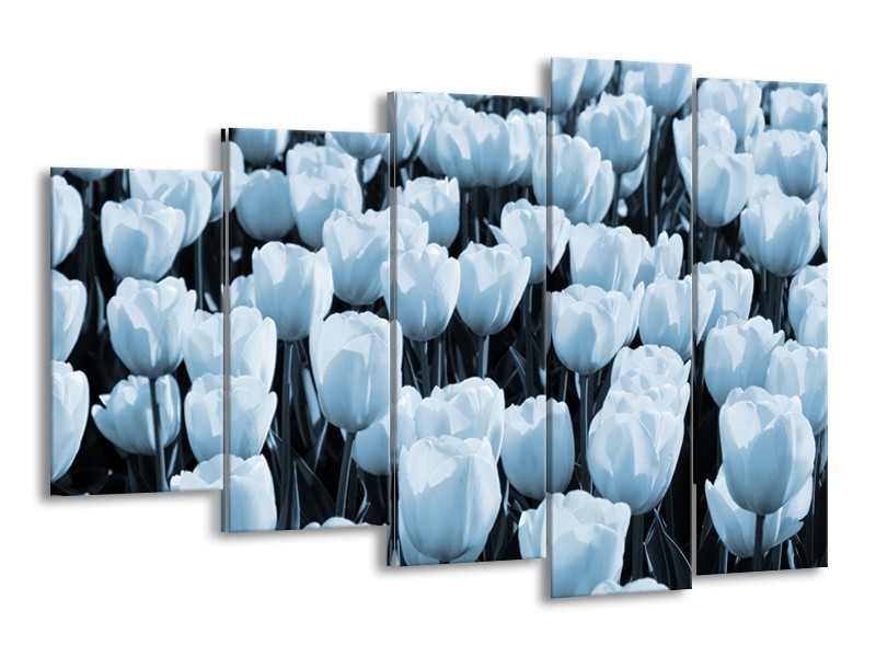 Glasschilderij Bloem, Tulpen | Blauw | 150x100cm 5Luik