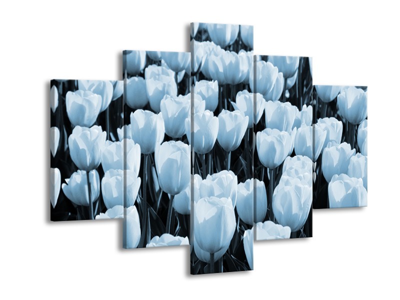 Glasschilderij Bloem, Tulpen | Blauw | 150x105cm 5Luik