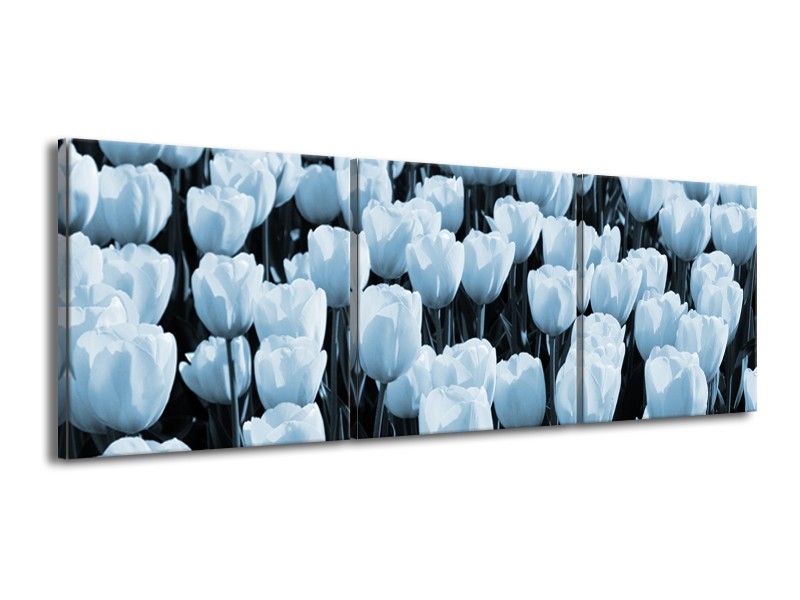 Canvas Schilderij Bloem, Tulpen | Blauw | 150x50cm 3Luik