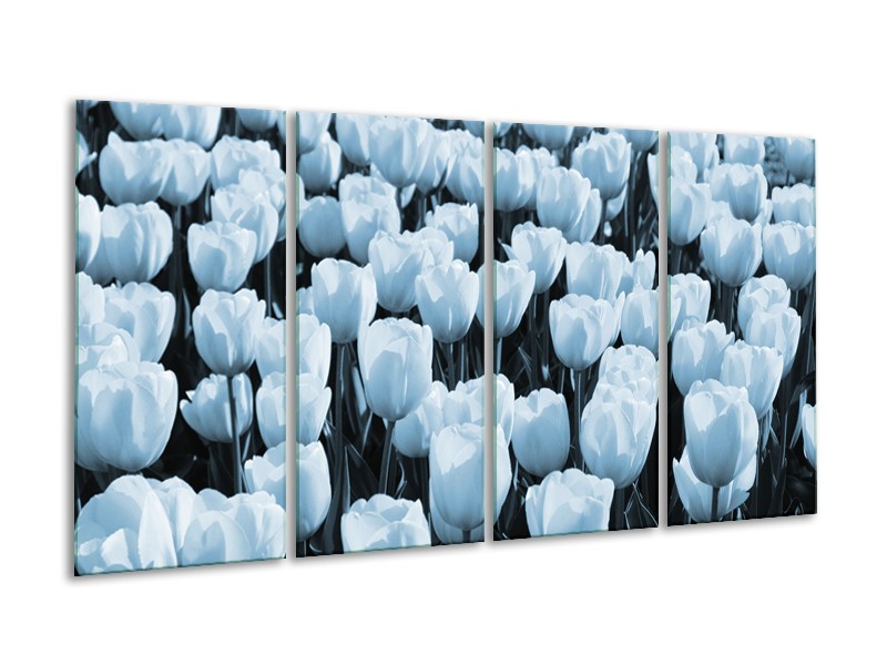 Glasschilderij Bloem, Tulpen | Blauw | 160x80cm 4Luik