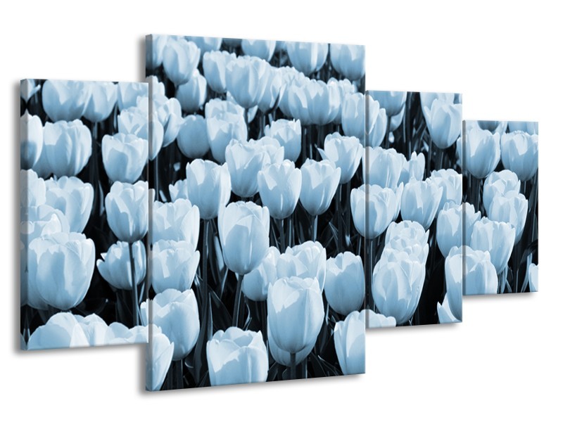 Canvas Schilderij Bloem, Tulpen | Blauw | 160x90cm 4Luik