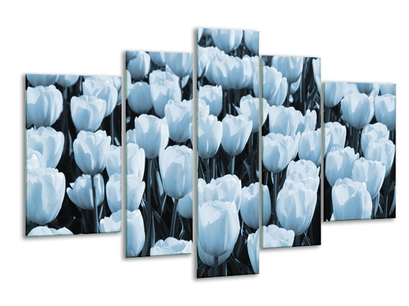 Canvas Schilderij Bloem, Tulpen | Blauw | 170x100cm 5Luik