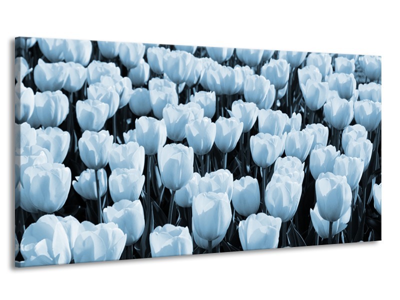 Canvas Schilderij Bloem, Tulpen | Blauw | 170x90cm 1Luik