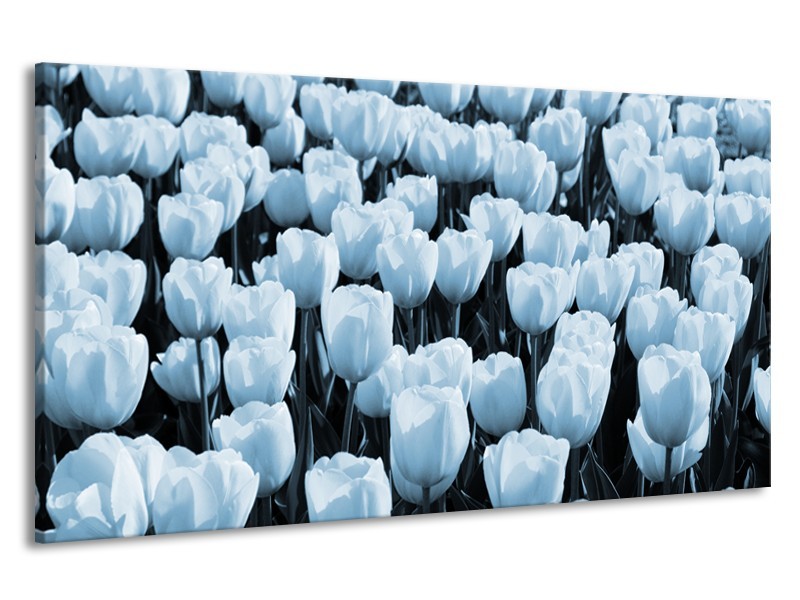 Canvas Schilderij Bloem, Tulpen | Blauw | 190x100cm 1Luik