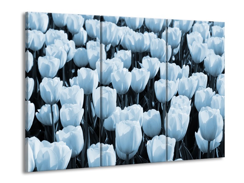 Glasschilderij Bloem, Tulpen | Blauw | 60x90cm 3Luik