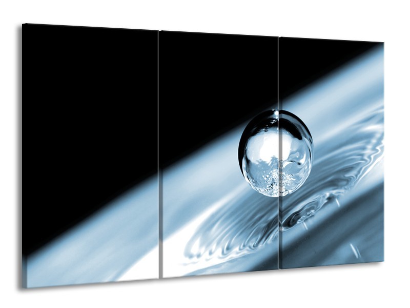 Canvas Schilderij Macro | Blauw, Zwart | 165x100cm 3Luik