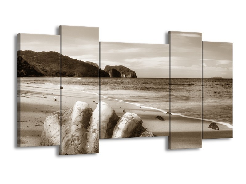 Glasschilderij Schelp, Strand | Sepia | 120x65cm 5Luik