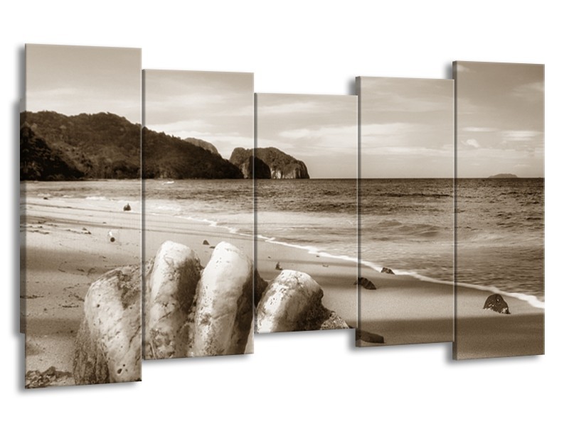 Glasschilderij Schelp, Strand | Sepia | 150x80cm 5Luik