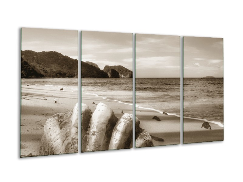 Glasschilderij Schelp, Strand | Sepia | 160x80cm 4Luik