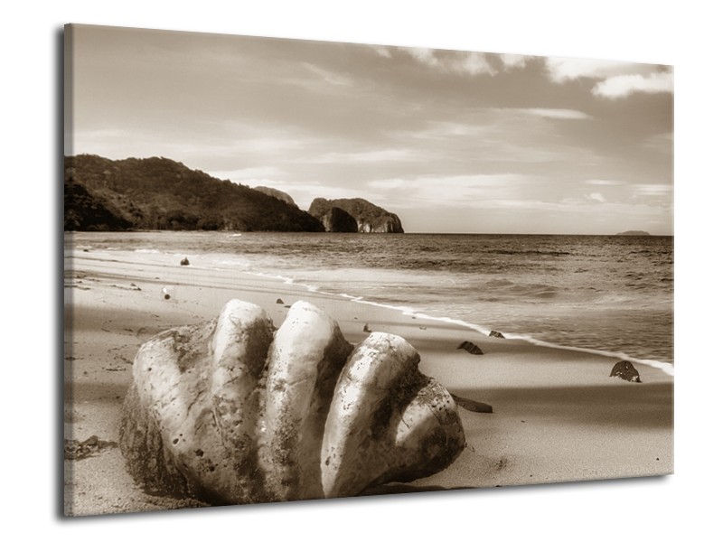 Canvas Schilderij Schelp, Strand | Sepia | 70x50cm 1Luik