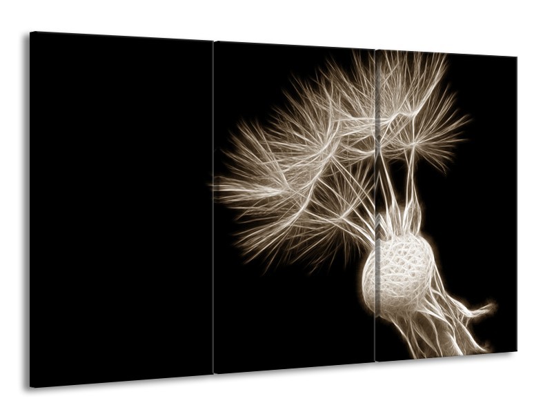 Glasschilderij Bloem | Sepia, Zwart | 165x100cm 3Luik