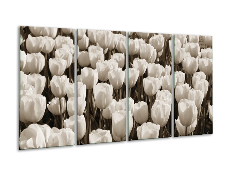 Glasschilderij Bloem, Tulpen | Sepia | 160x80cm 4Luik