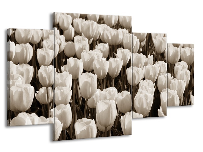 Canvas Schilderij Bloem, Tulpen | Sepia | 160x90cm 4Luik