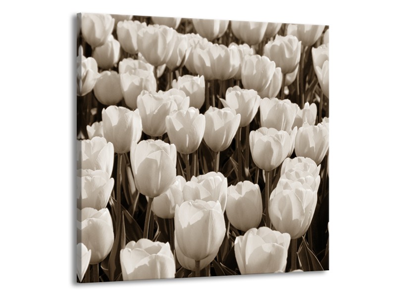 Canvas Schilderij Bloem, Tulpen | Sepia | 50x50cm 1Luik