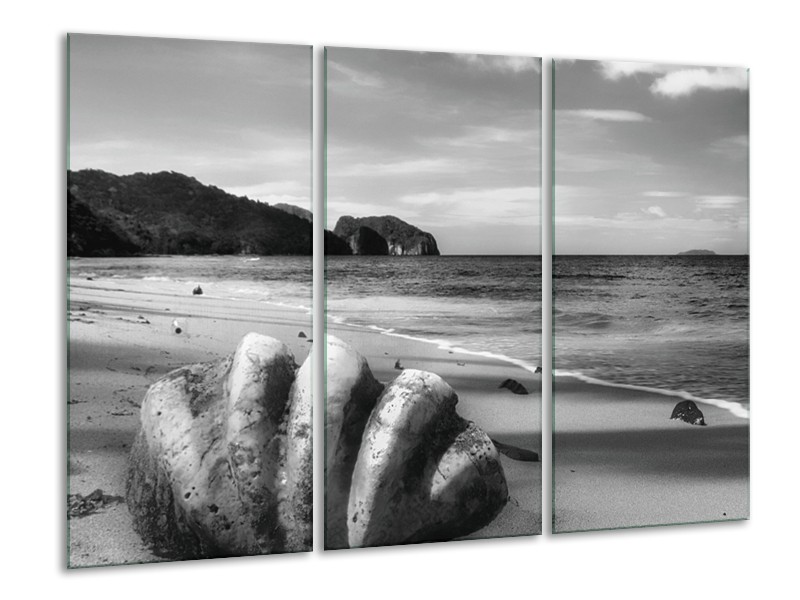 Glasschilderij Schelp, Strand | Zwart, Grijs | 120x80cm 3Luik