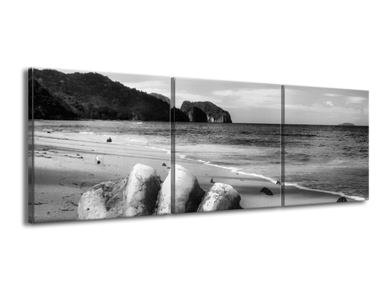 Canvas Schilderij Schelp, Strand | Zwart, Grijs | 150x50cm 3Luik