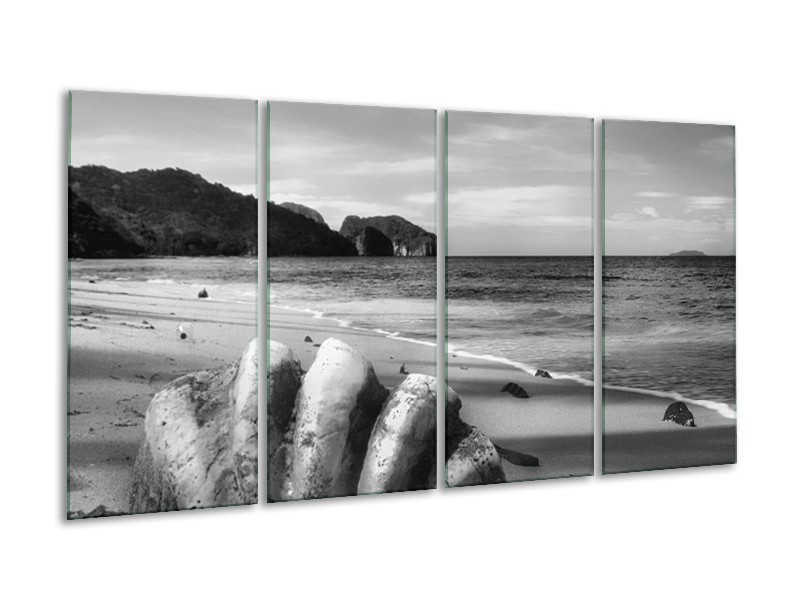 Glasschilderij Schelp, Strand | Zwart, Grijs | 160x80cm 4Luik