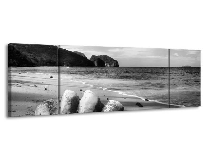 Glasschilderij Schelp, Strand | Zwart, Grijs | 170x50cm 3Luik