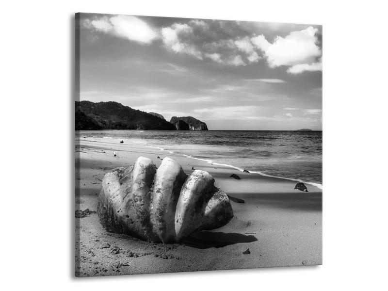 Glasschilderij Schelp, Strand | Zwart, Grijs | 70x70cm 1Luik