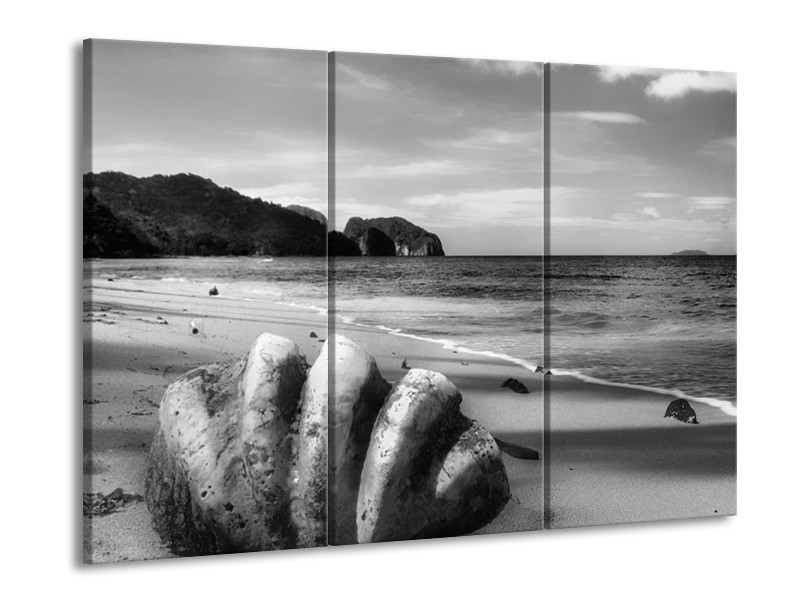 Glasschilderij Schelp, Strand | Zwart, Grijs | 60x90cm 3Luik