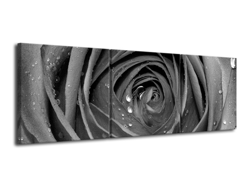 Canvas Schilderij Roos, Bloem | Zwart, Grijs | 120x40cm 3Luik