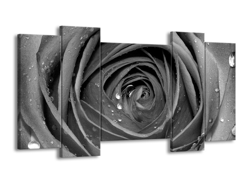 Canvas Schilderij Roos, Bloem | Zwart, Grijs | 120x65cm 5Luik