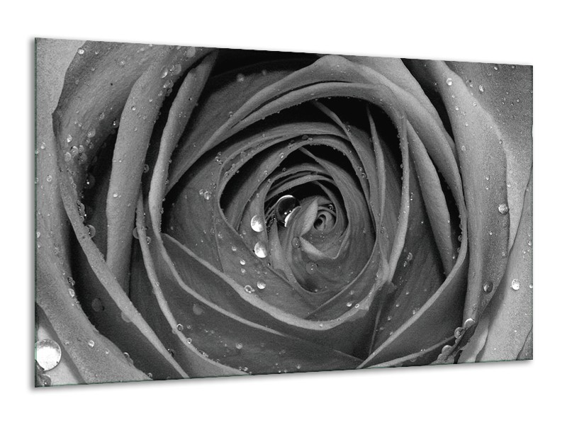 Canvas Schilderij Roos, Bloem | Zwart, Grijs | 120x70cm 1Luik