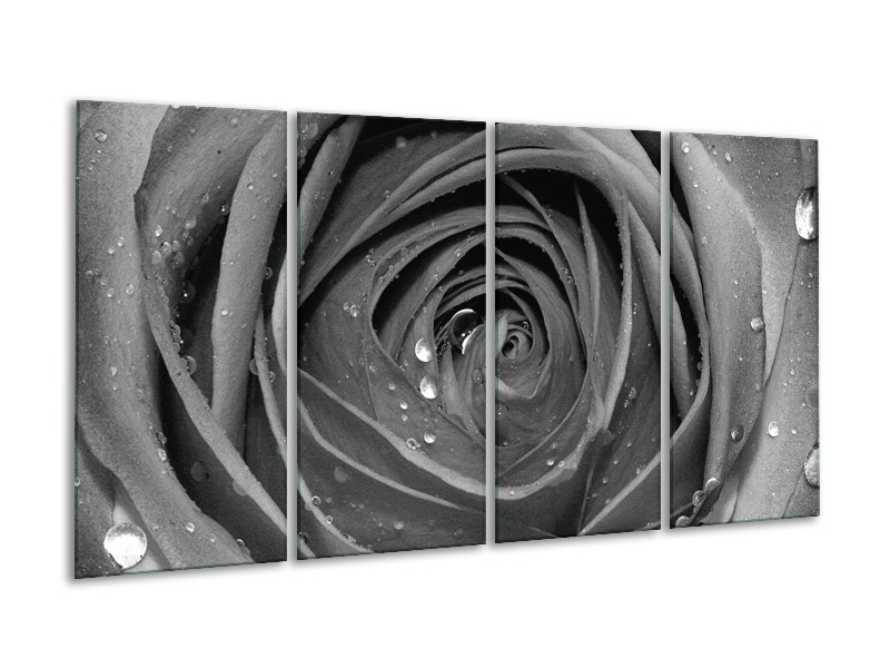 Canvas Schilderij Roos, Bloem | Zwart, Grijs | 160x80cm 4Luik