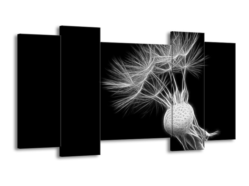 Glasschilderij Bloem | Zwart, Wit | 120x65cm 5Luik