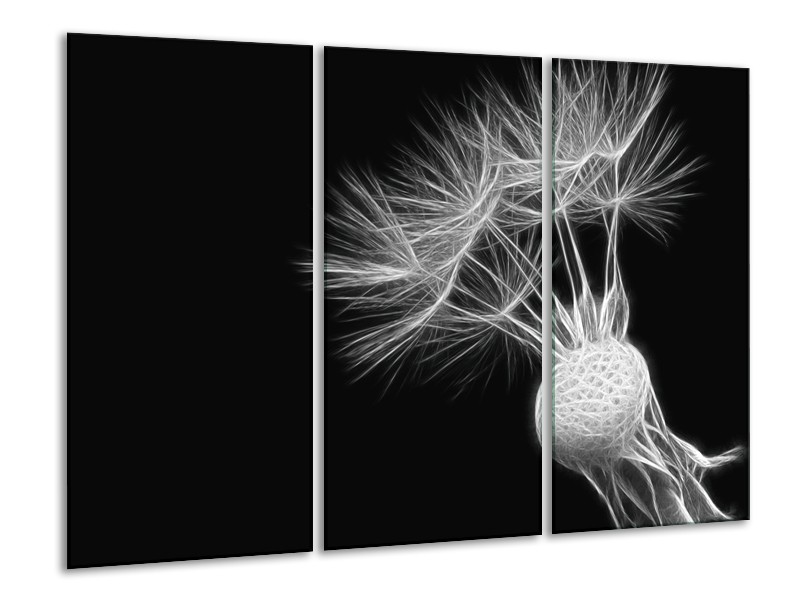 Glasschilderij Bloem | Zwart, Wit | 120x80cm 3Luik