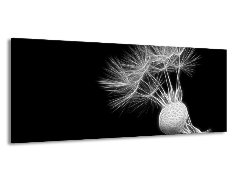 Glasschilderij Bloem | Zwart, Wit | 145x58cm 1Luik