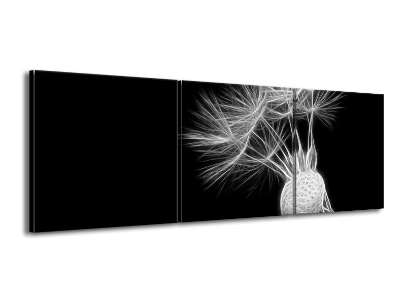 Glasschilderij Bloem | Zwart, Wit | 150x50cm 3Luik