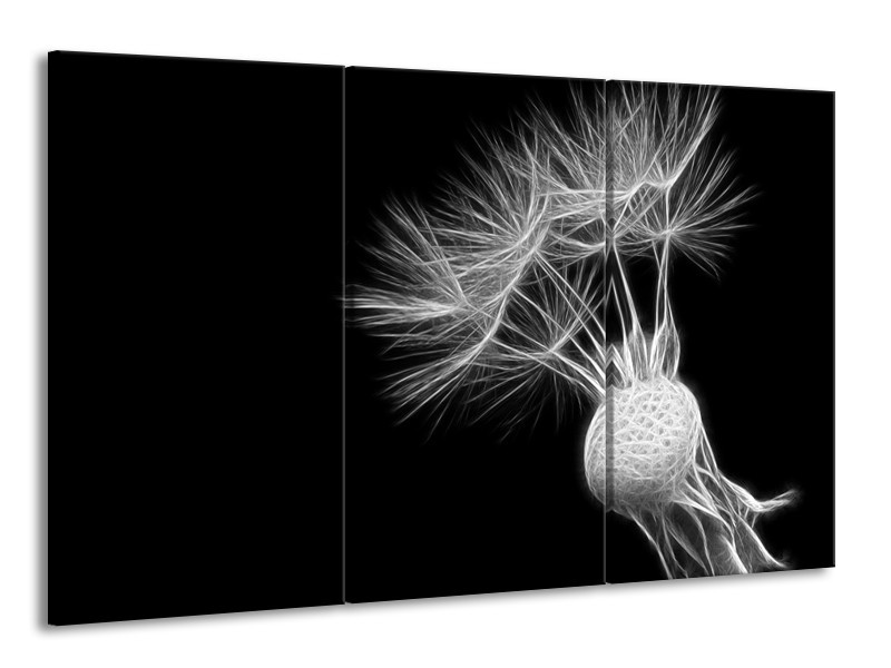 Canvas Schilderij Bloem | Zwart, Wit | 165x100cm 3Luik