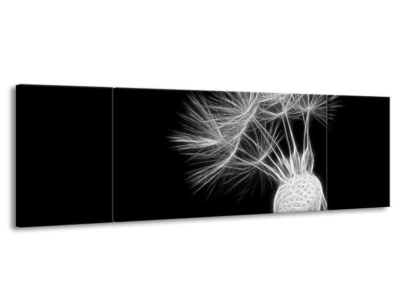 Glasschilderij Bloem | Zwart, Wit | 170x50cm 3Luik